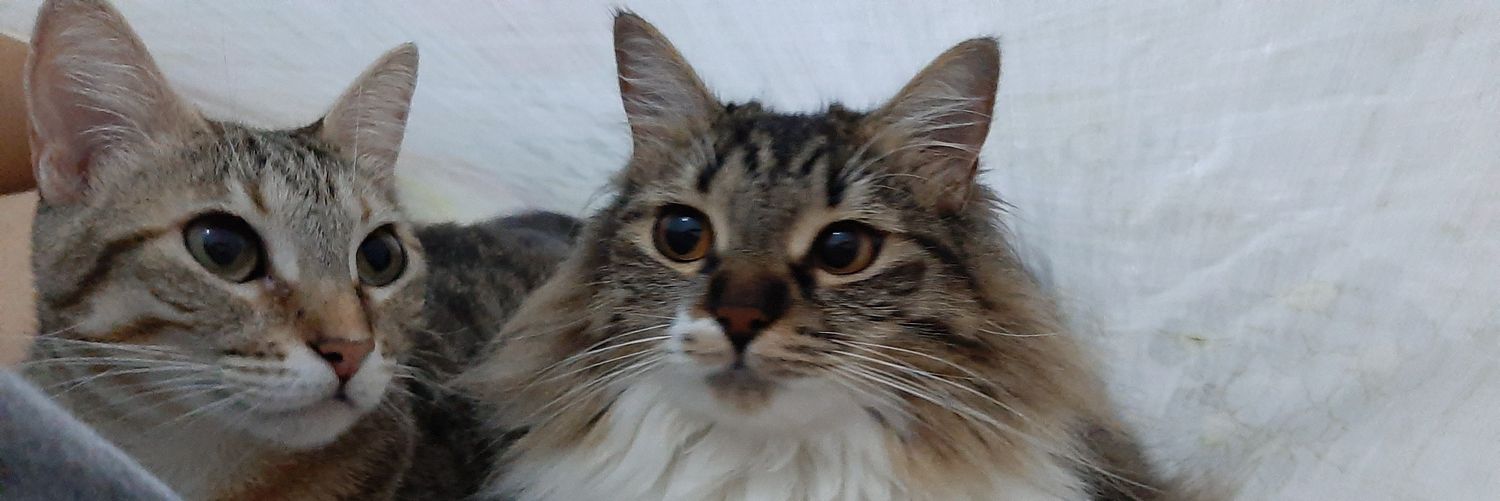 MarceblueM's profile banner image