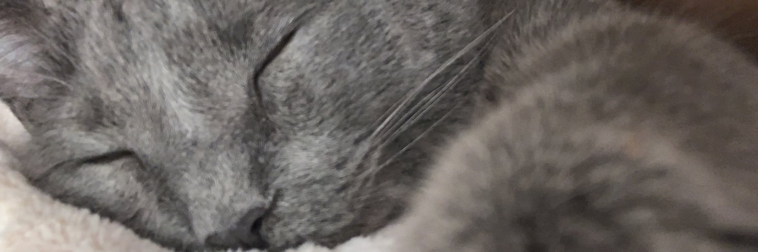 kendramha's profile banner image