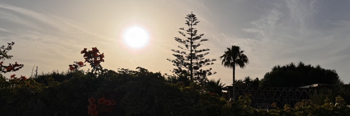 1whiteTees's profile banner image