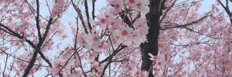 RealityZeroJP's profile banner image