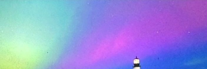 laurylapointe's profile banner image