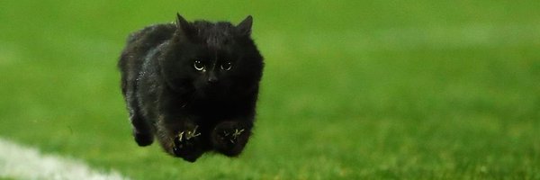 andyofficer_ Profile Banner