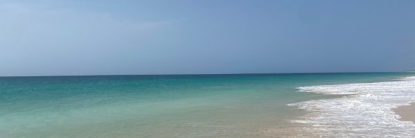 anantmdesai Profile Banner