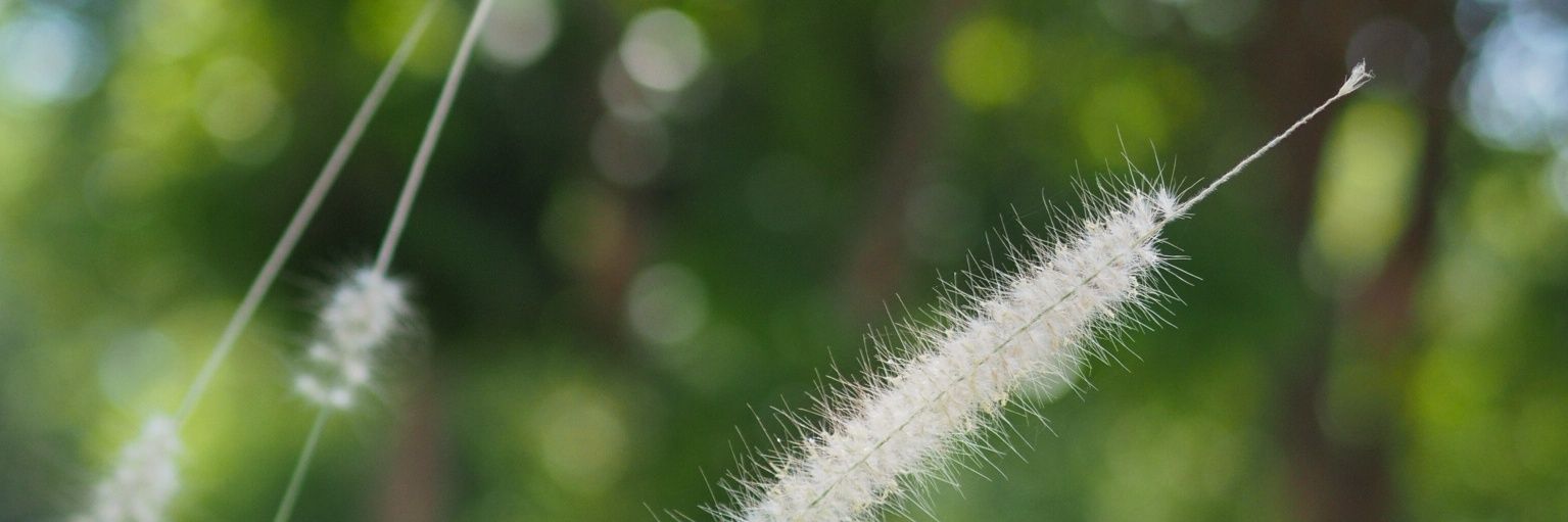 Julekk's profile banner image