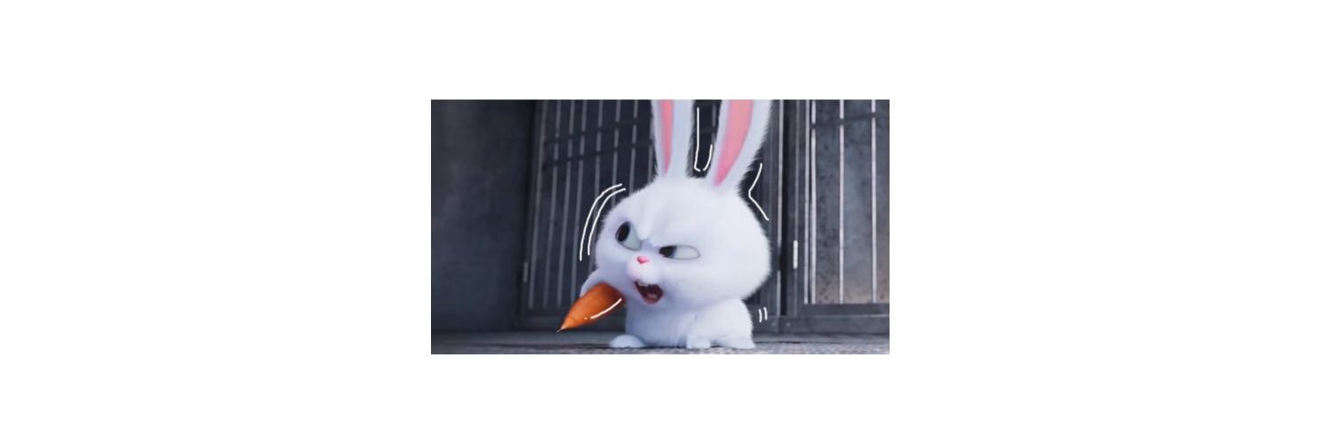 17SAYBONX's profile banner image