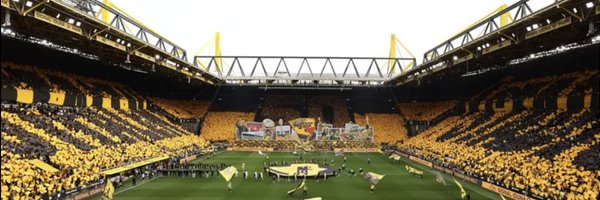 JellyFischchen Profile Banner