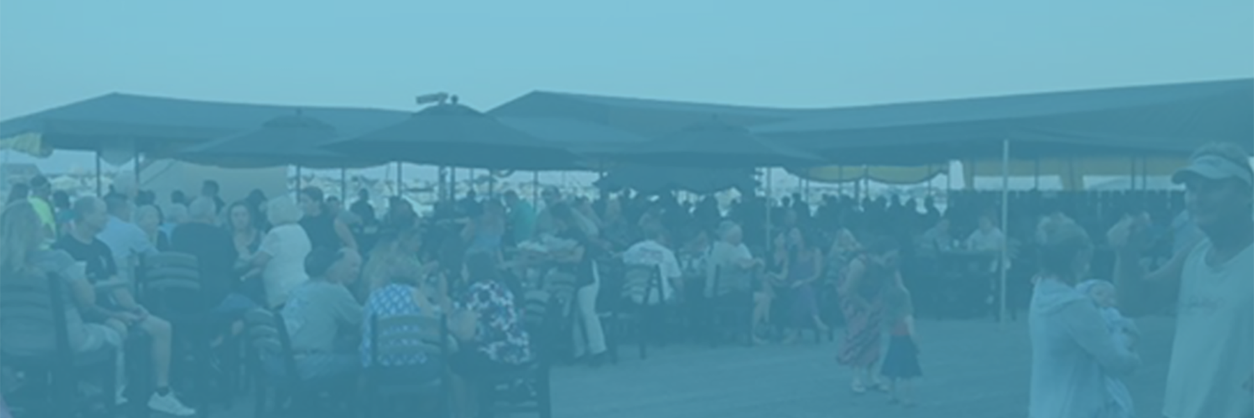 timmc's profile banner image