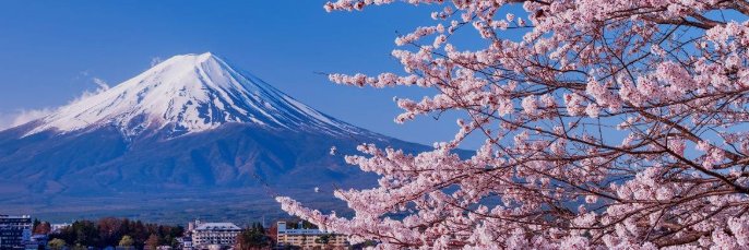 natto5959's profile banner image
