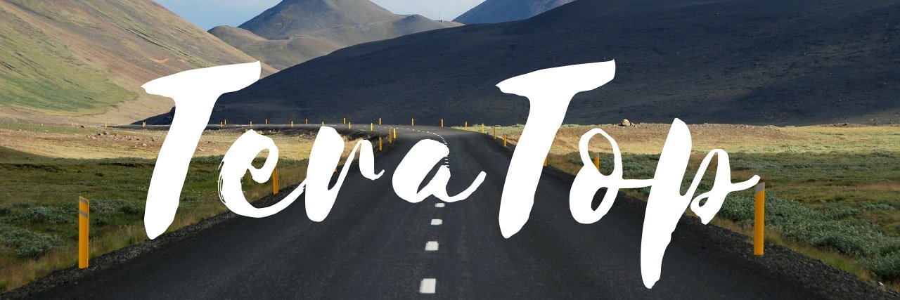 TeraTopTreding's profile banner image
