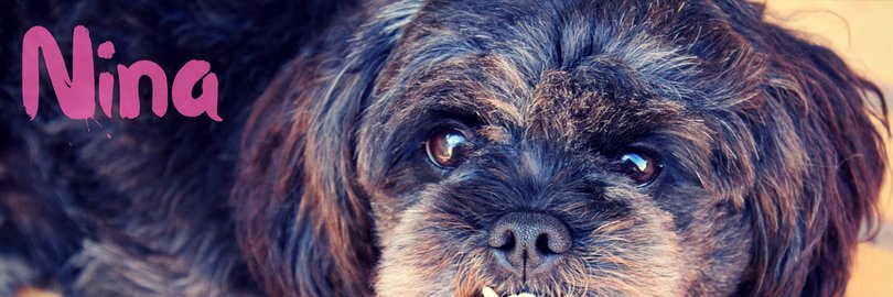 ROBERTOSTARCKLE's profile banner image