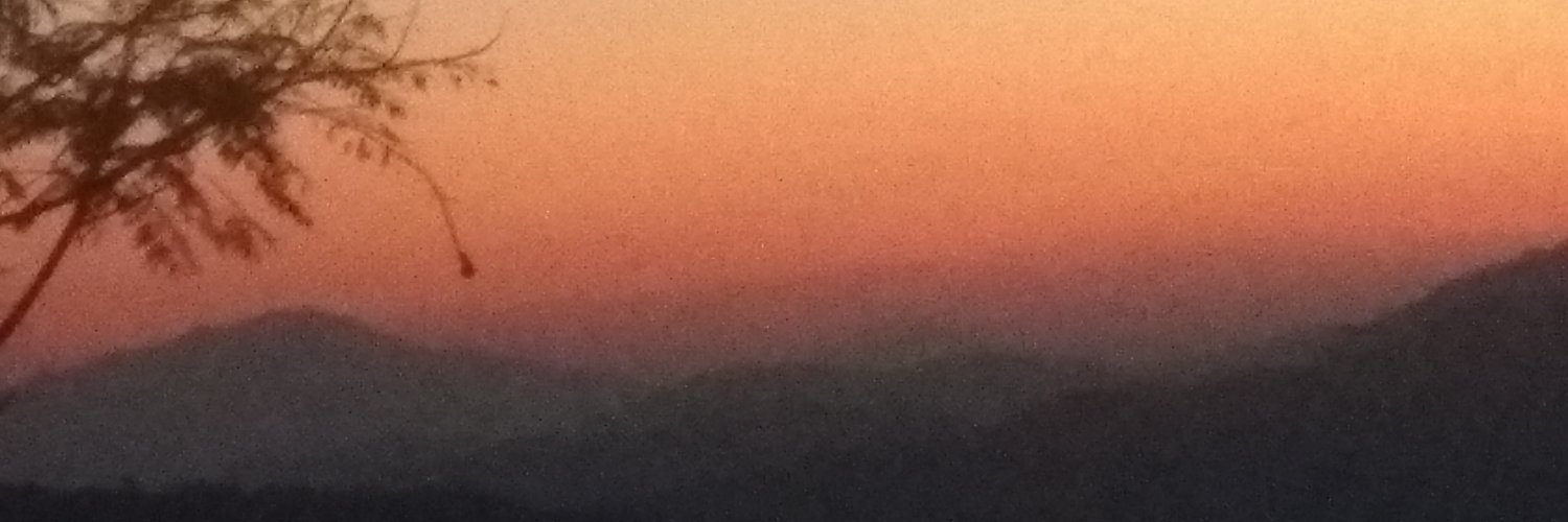 Nayanask's profile banner image