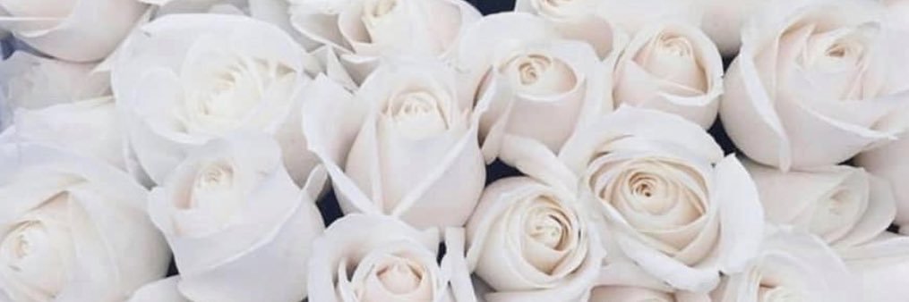 Heather_Stump's profile banner image