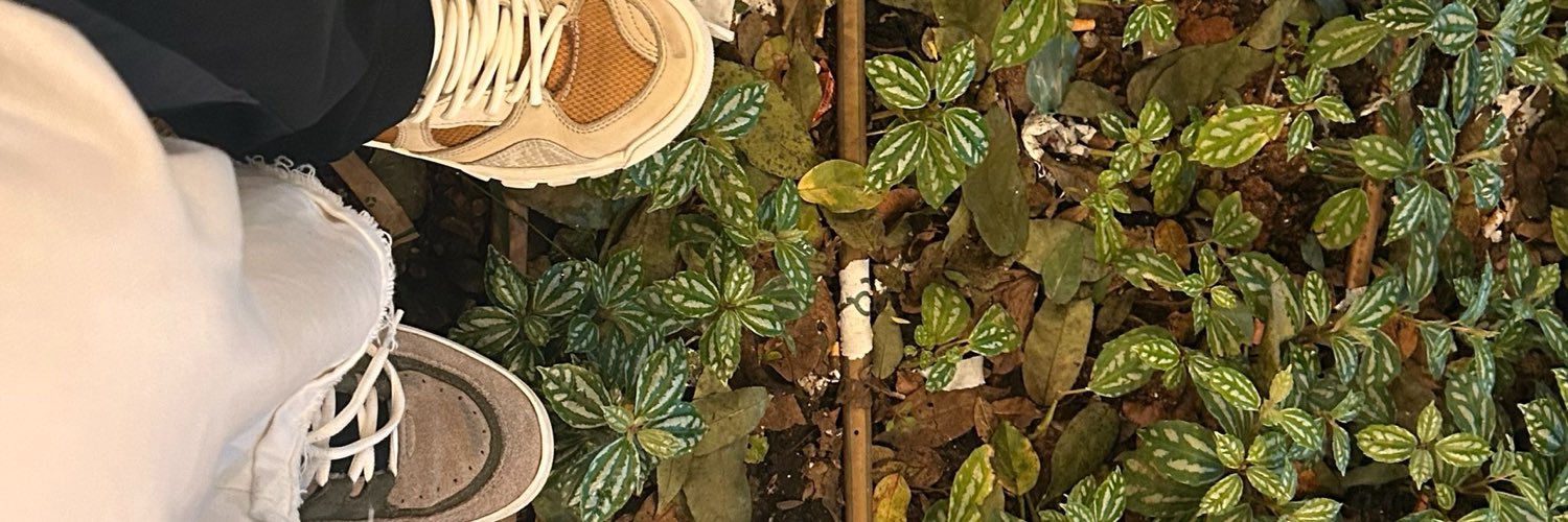 boiadabtu's profile banner image