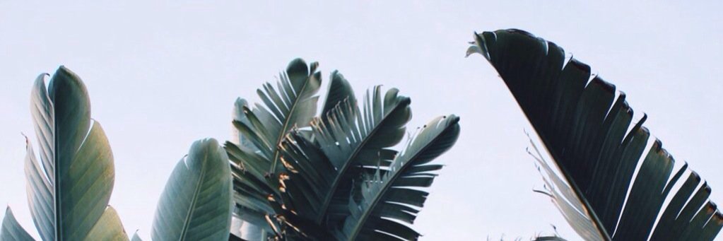 aalteyang's profile banner image