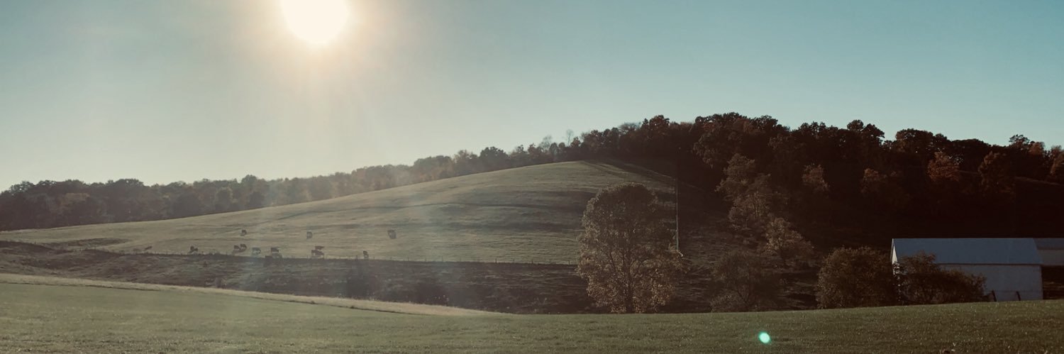 TheCamAlberts's profile banner image