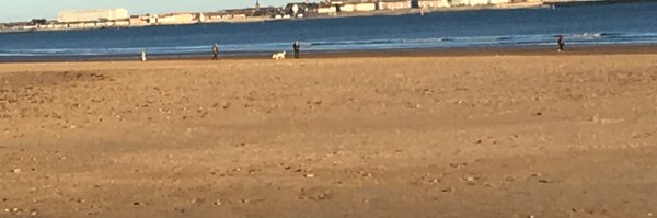 Blenky64 Profile Banner