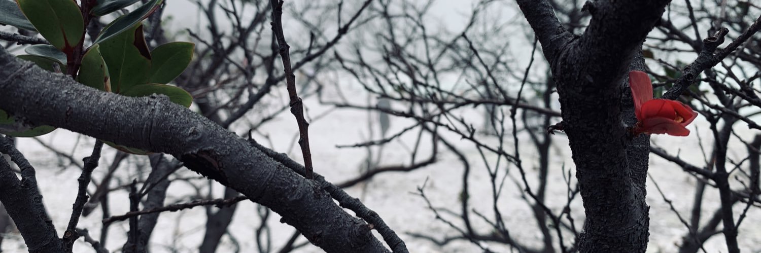 tj_style's profile banner image