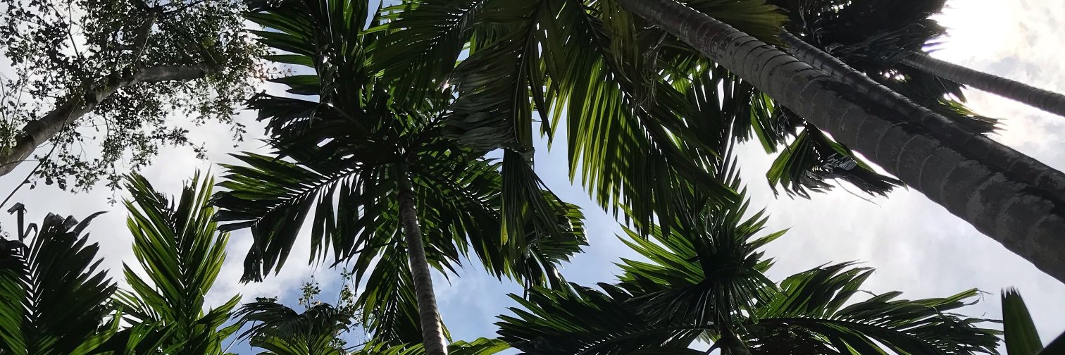 guadadelvalle's profile banner image