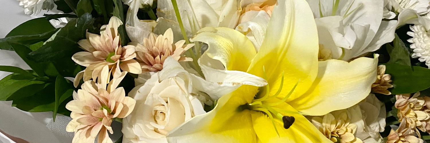 Ary_tom's profile banner image