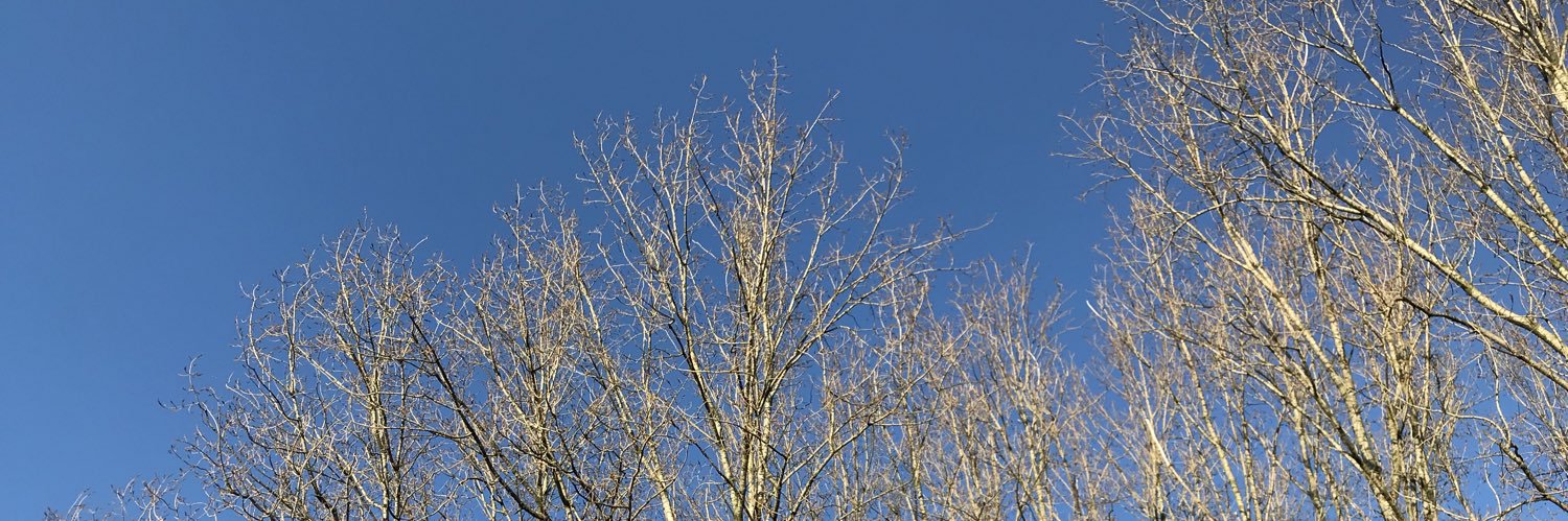 inge blauw banner