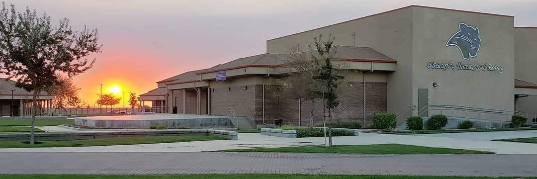 PHS PANTHERS ATHLETICS banner