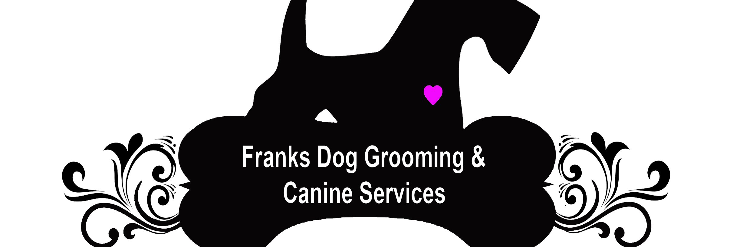FranksDgcs's profile banner image
