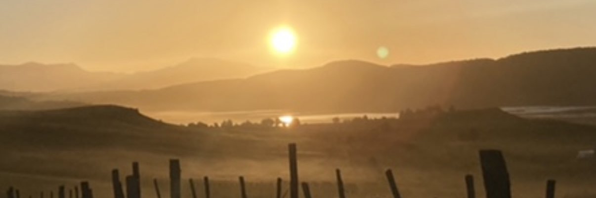 CARLOS PACHECO banner