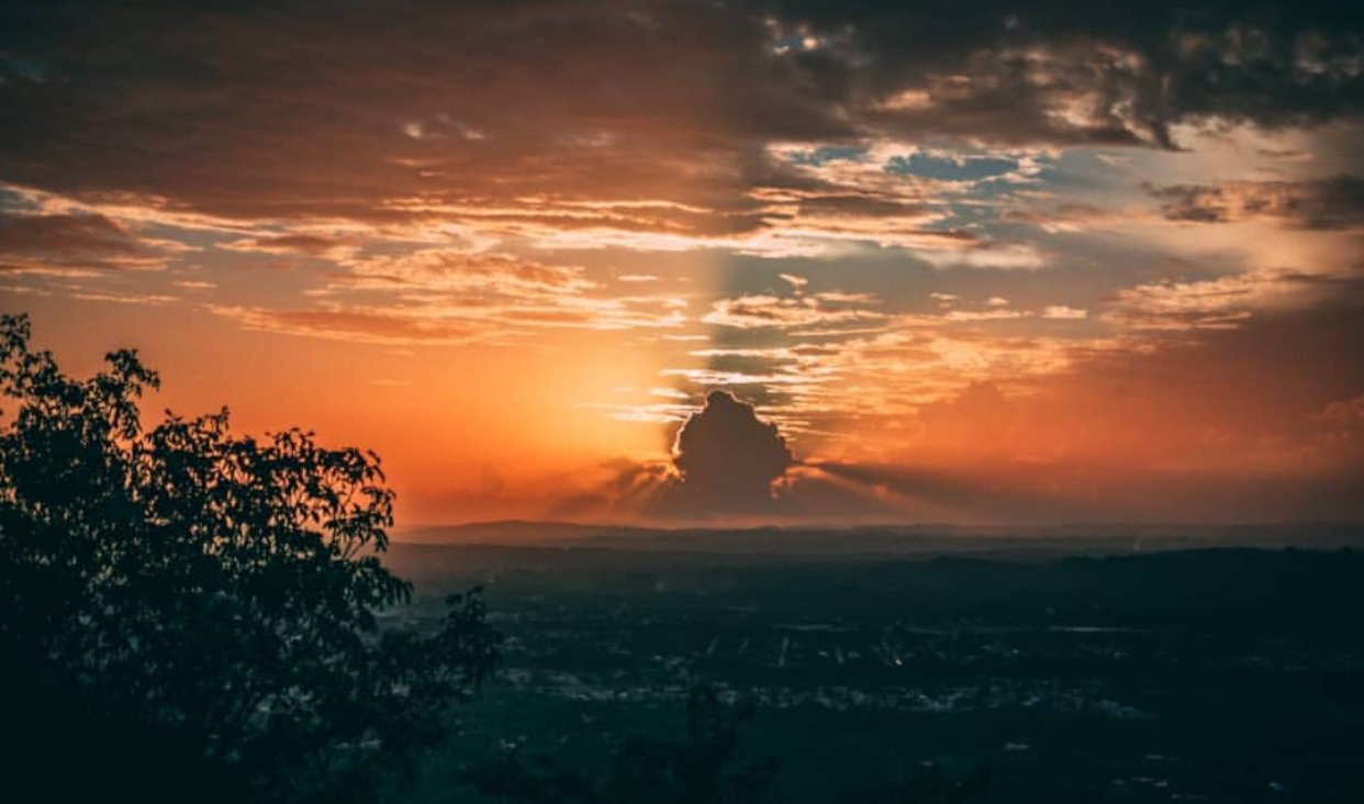 PeterLewis89's profile banner image