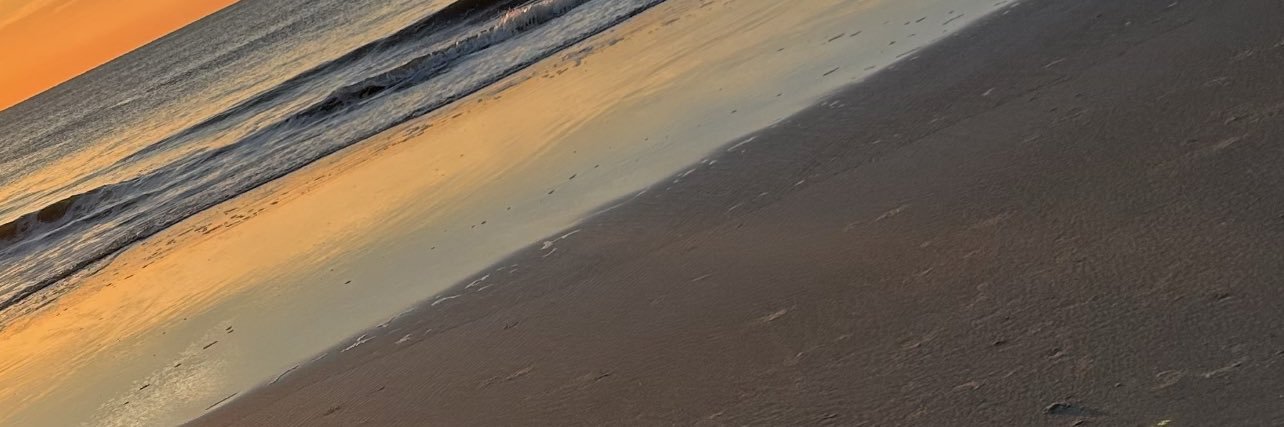 tookiemonae's profile banner image
