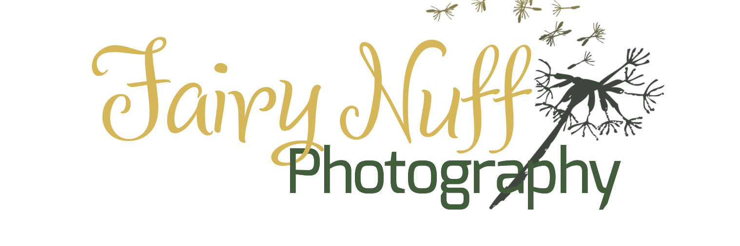 fairynuffphotog's profile banner image