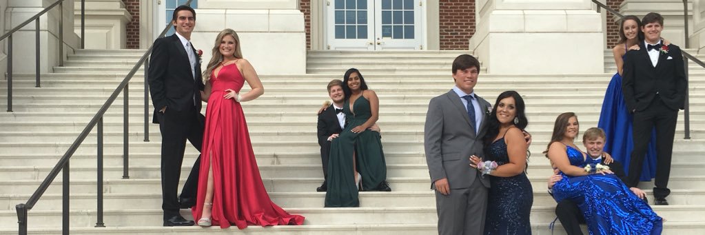 themollypaiged's profile banner image