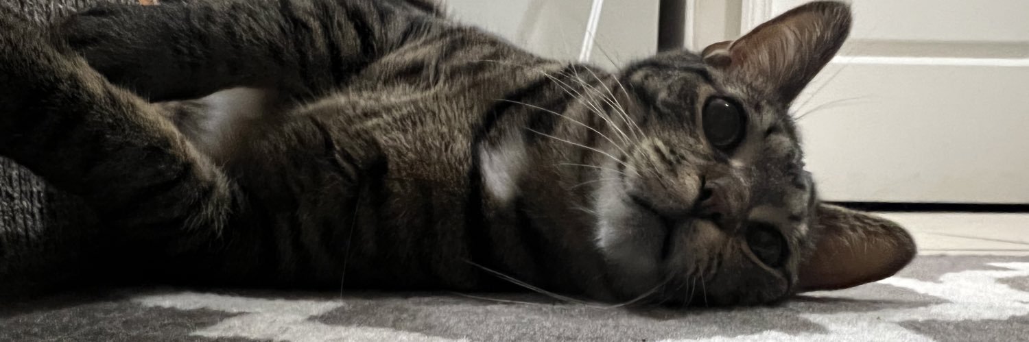 Feezythegod's profile banner image