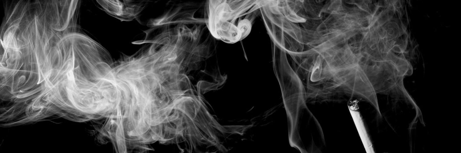 borediamsobored's profile banner image