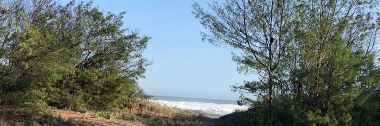 Nyit Sastrawiredja banner