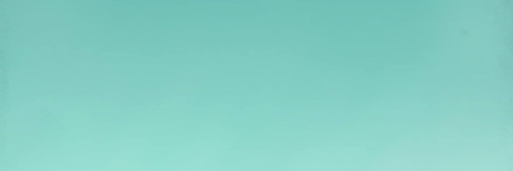 NOMAD banner