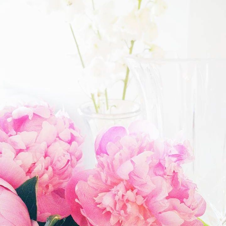 CandidChani's profile banner image