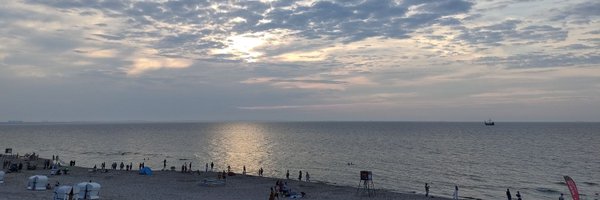 Zborowska Profile Banner