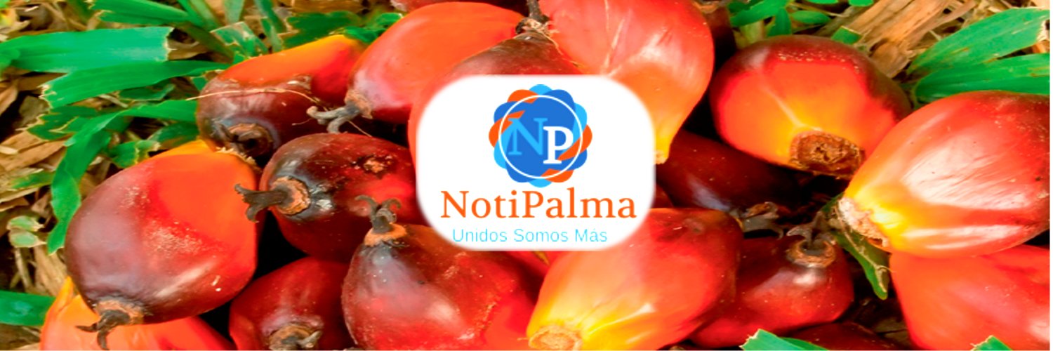 NotiPalma banner