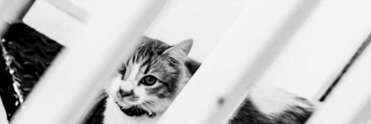 deb_frost93's profile banner image
