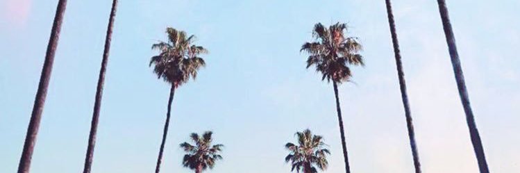 clrlwm's profile banner image