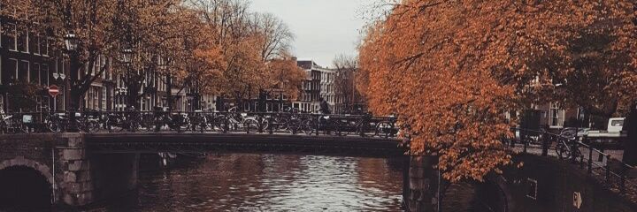 TheScottFrancis's profile banner image