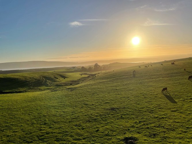 zachary ✌️ banner