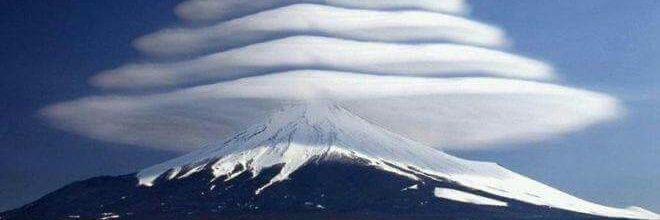 Peter Mignander banner