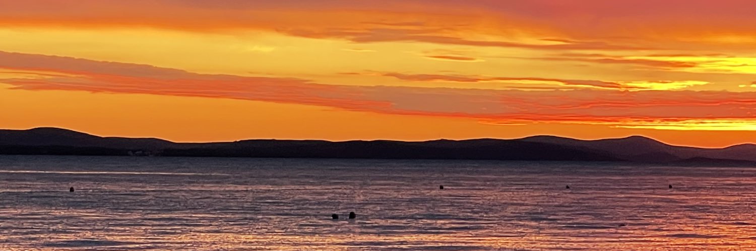 Loral Icewines banner