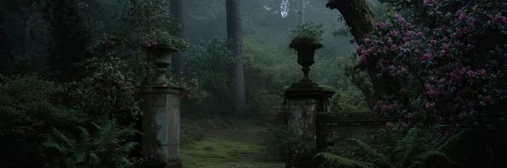 leita_meyer's profile banner image