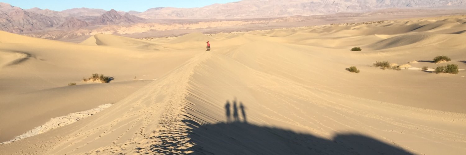 vtetelbaum's profile banner image
