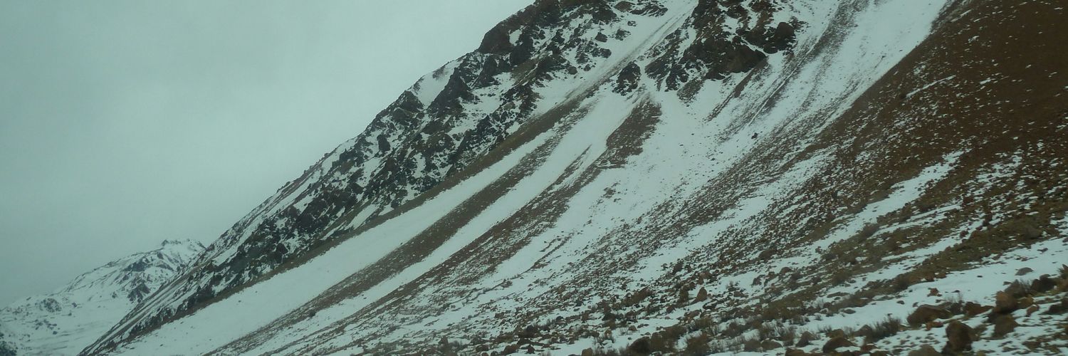 saxguit's profile banner image