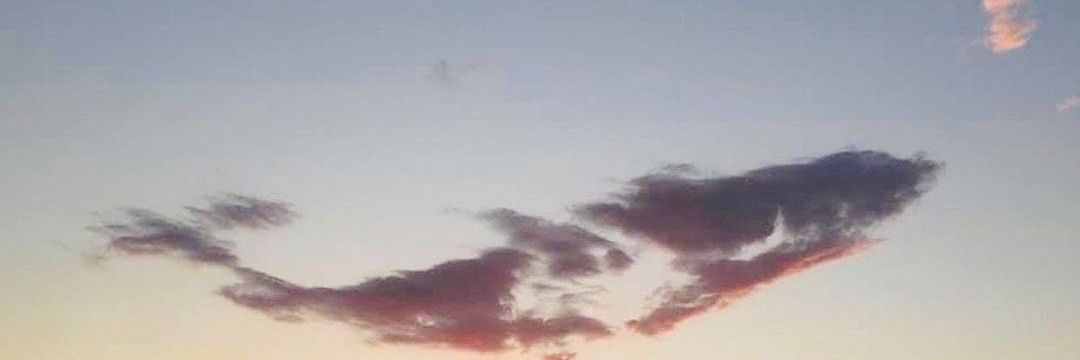 Aeeeeena's profile banner image