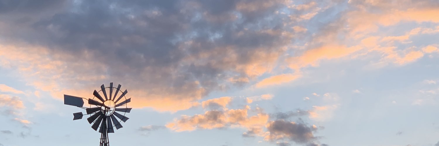 The Sun’s son banner