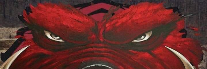 Kelly Westerman ❤️🐗❤️ banner